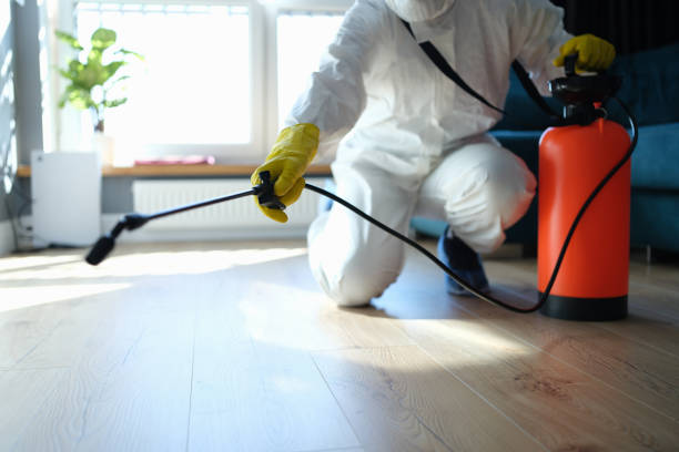 Trusted Hoarding Cleanup service in Granite Canon, WY - Four Month Blood Cleanse